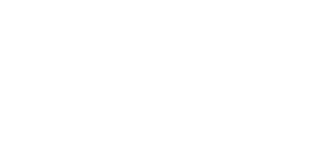 Tann Solutions Logo White Horizontal